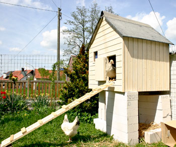 Hühnerhaus 1. Generation