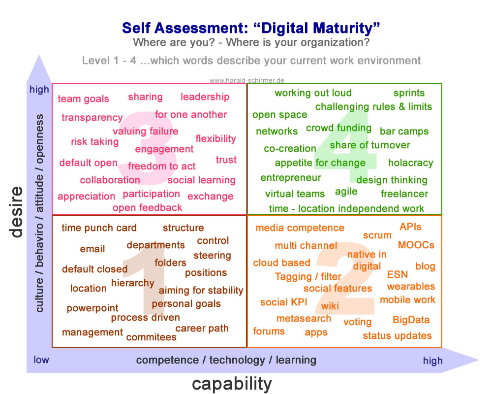 Self Assessment – Digital Maturity