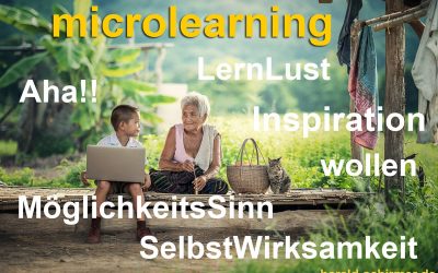 Microlearning by Harald Schirmer