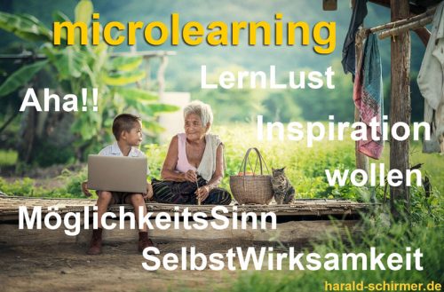 Microlearning by Harald Schirmer