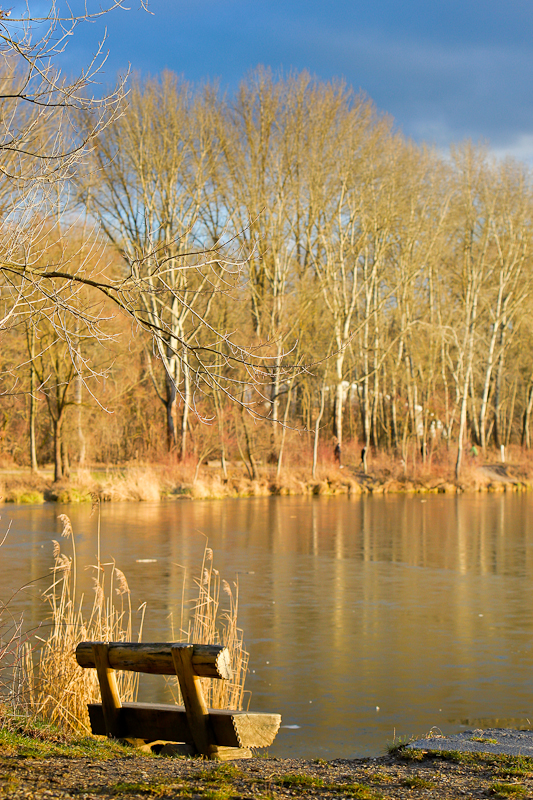 Herbst Bank am See